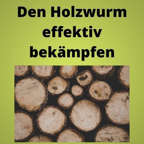 Den Holzwurm effektiv bekämpfen