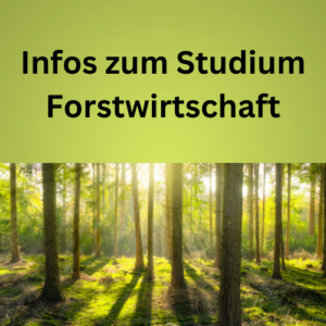 Infos zum Studium Forstwirtschaft