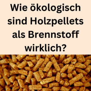 Wie ökologisch sind Holzpellets als Brennstoff wirklich